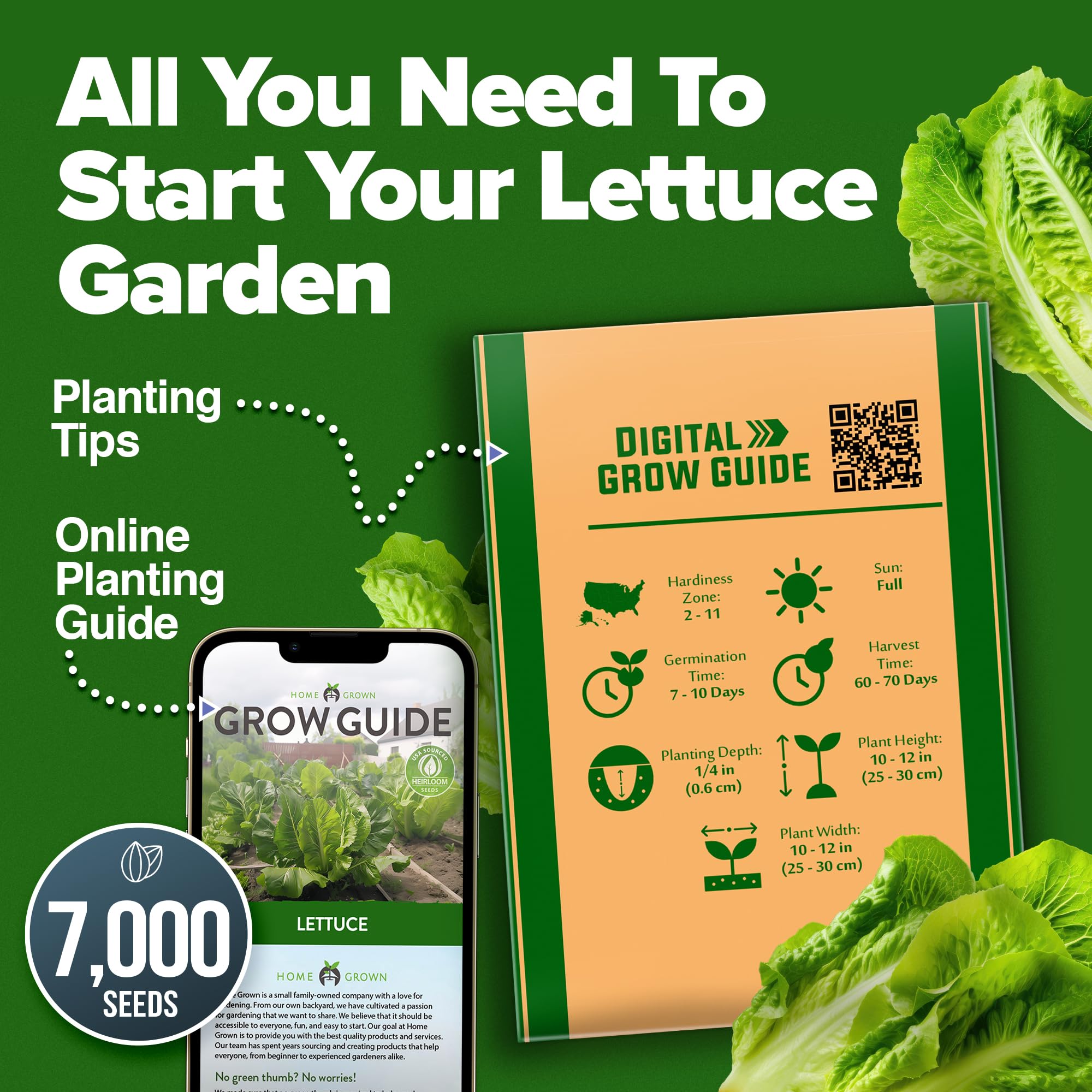 HOME GROWN crisp romaine leaves perfect for fresh salads.