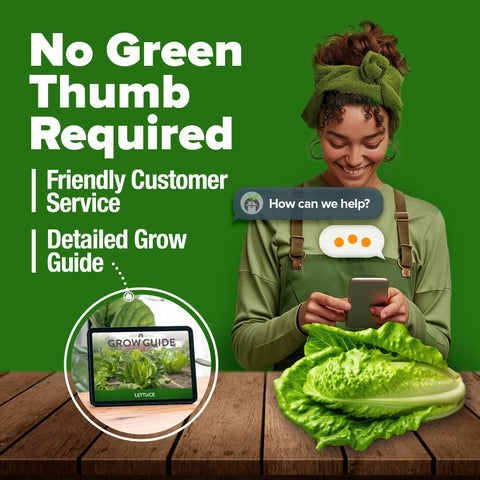 HOME GROWN romaine seeds support emergency food planning at home.