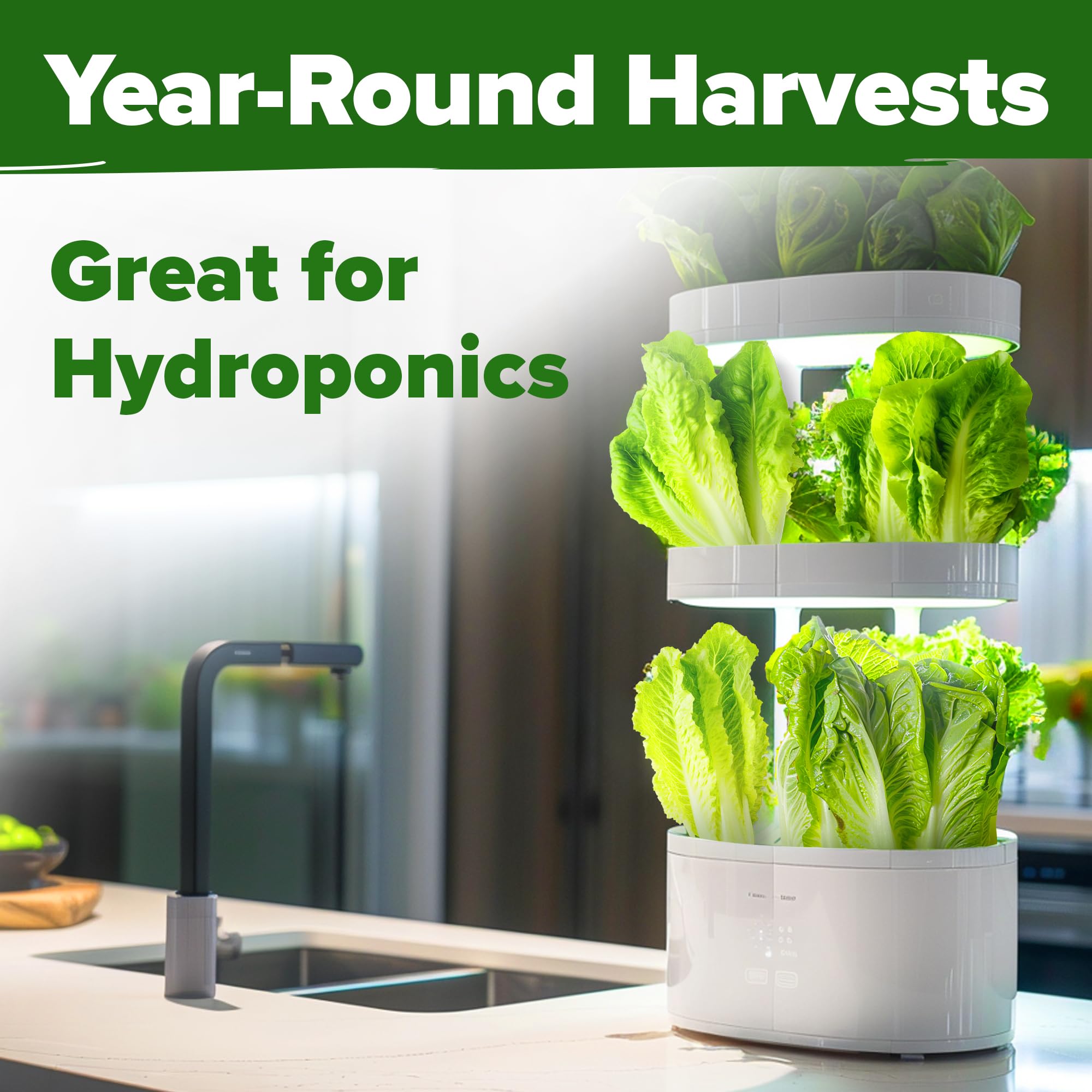 HOME GROWN heirloom seeds preserve classic romaine flavor and texture.
