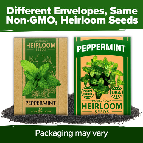 Gift-pack HOME GROWN peppermint seeds for indoor herb setups