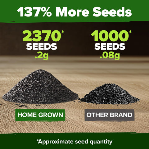 HOME GROWN peppermint seeds close-up, high germination potential for vigorous growth.