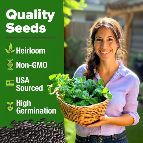 HOME GROWN peppermint seeds pack back, non-GMO and USA-sourced for freshness.