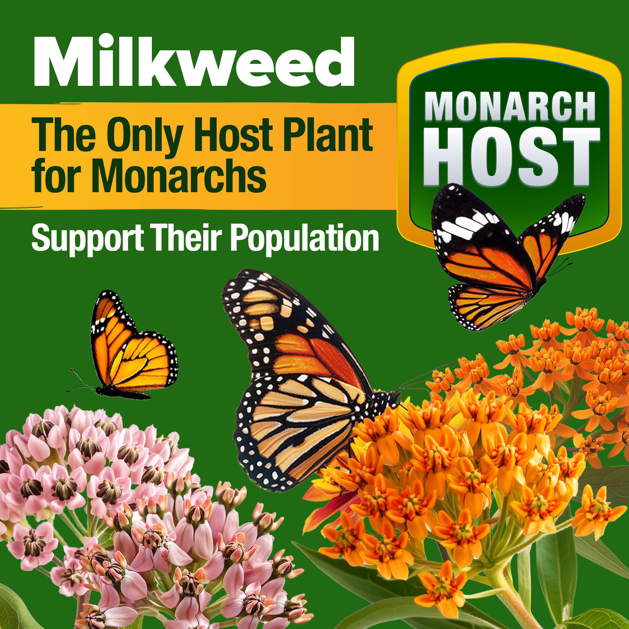 HOME GROWN Perennial wildflowers in bloom for year-round color