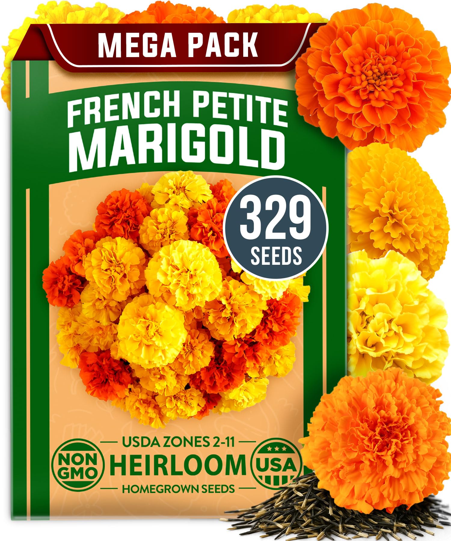 HOME GROWN Petite French Marigold seeds bloom close-up with vibrant petals attracting pollinators.