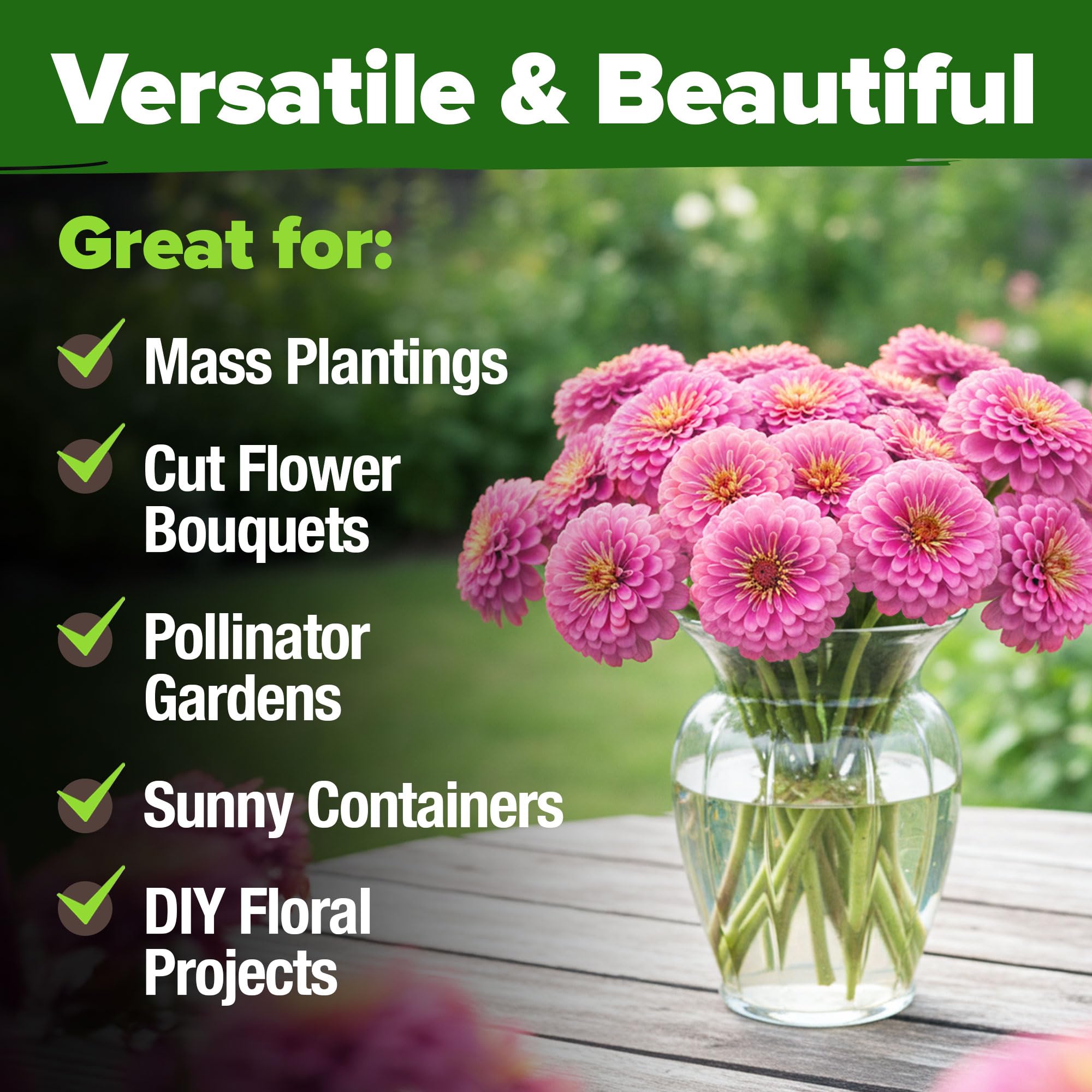 HOME GROWN Pink Zinnia thrive in heat and low irrigation once established.