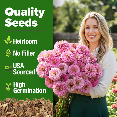 HOME GROWN Pink Zinnia seeds show fast germination for quick outdoor color.
