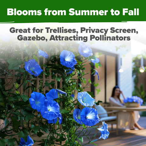HOME GROWN Pollinator-friendly garden — attracts butterflies and hummingbirds.