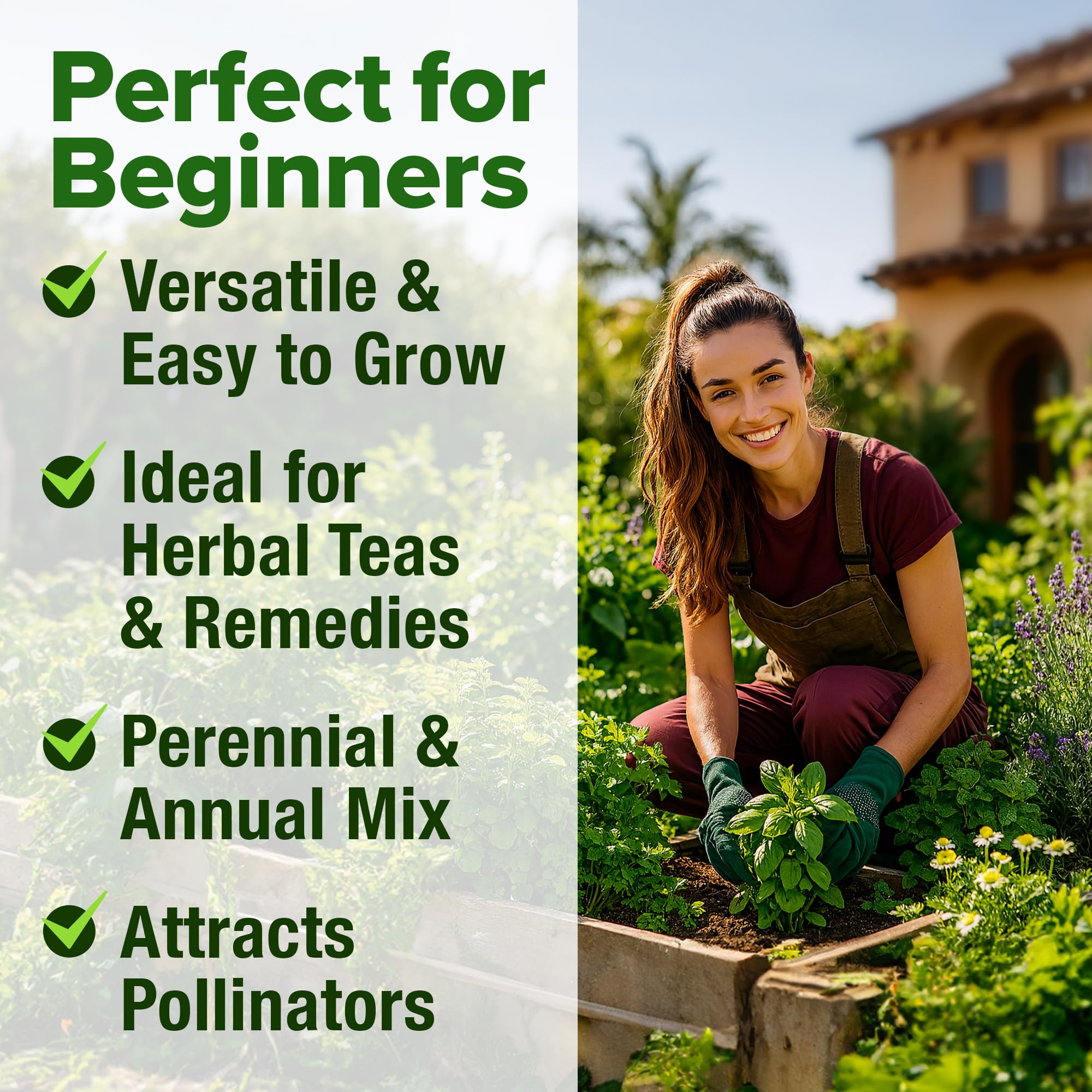 HOME GROWN pollinator-friendly herb garden attracts bees and butterflies for vibrant outdoors
