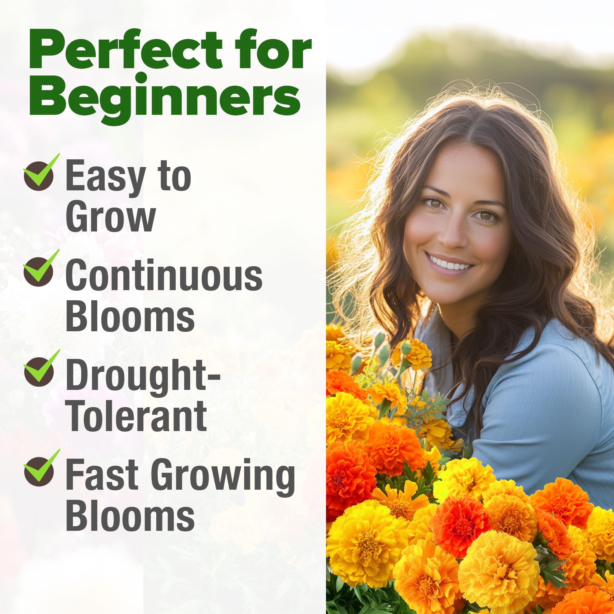HOME GROWN marigolds attract bees and butterflies, supporting pollinator-friendly gardens.