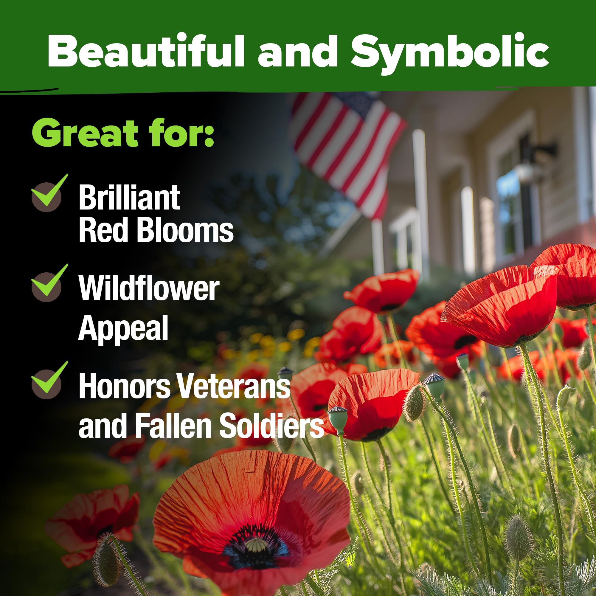 HOME GROWN pollinator-friendly poppies attracting bees and butterflies