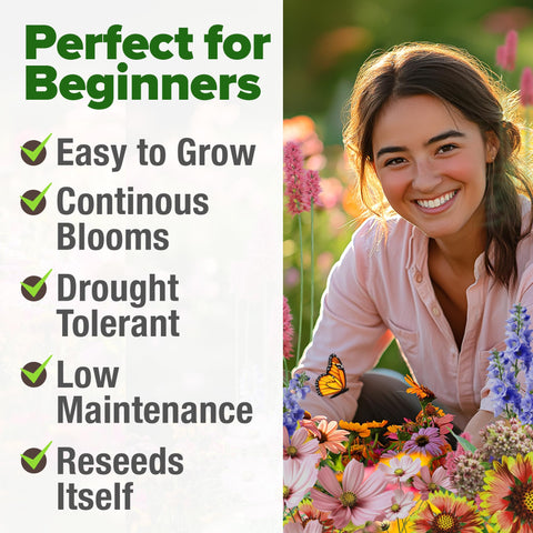 HOME GROWN Pollinator garden idea in sunny bed