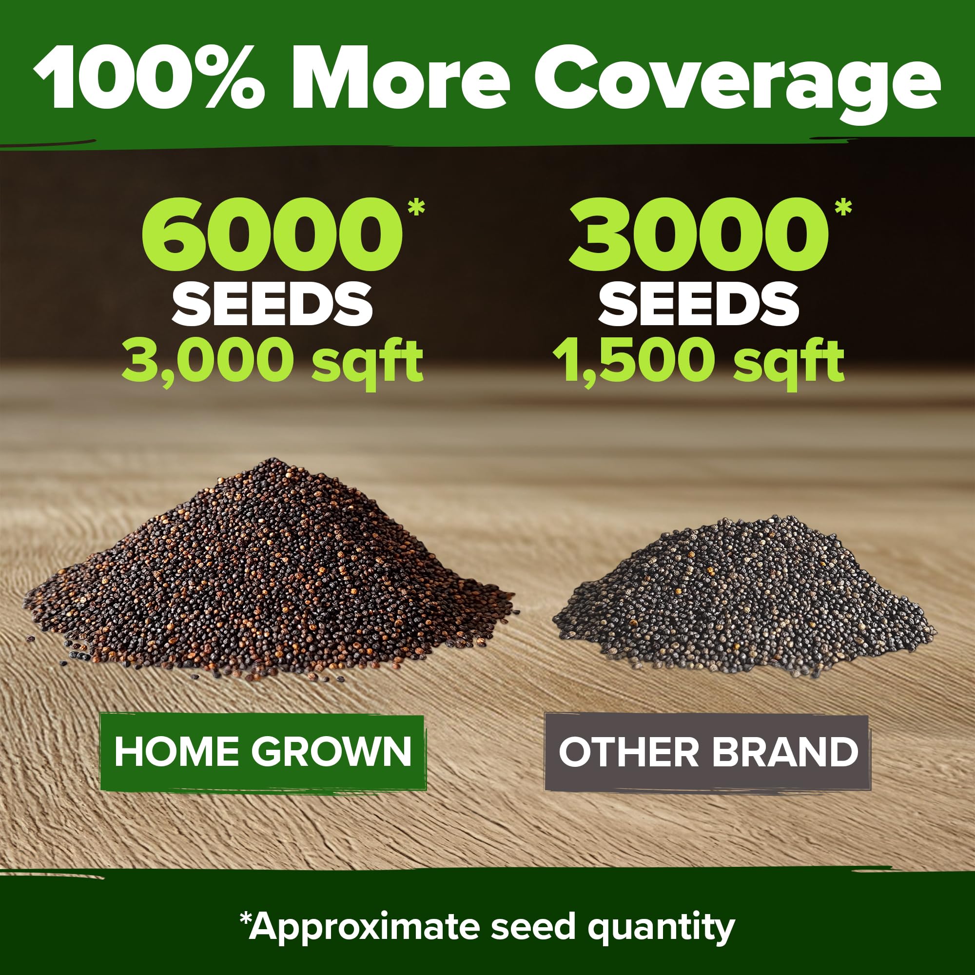 HOME GROWN poppy seeds germinating in roughly 60–75 days for a bold garden reveal