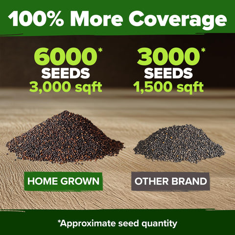 HOME GROWN poppy seeds germinating in roughly 60–75 days for a bold garden reveal
