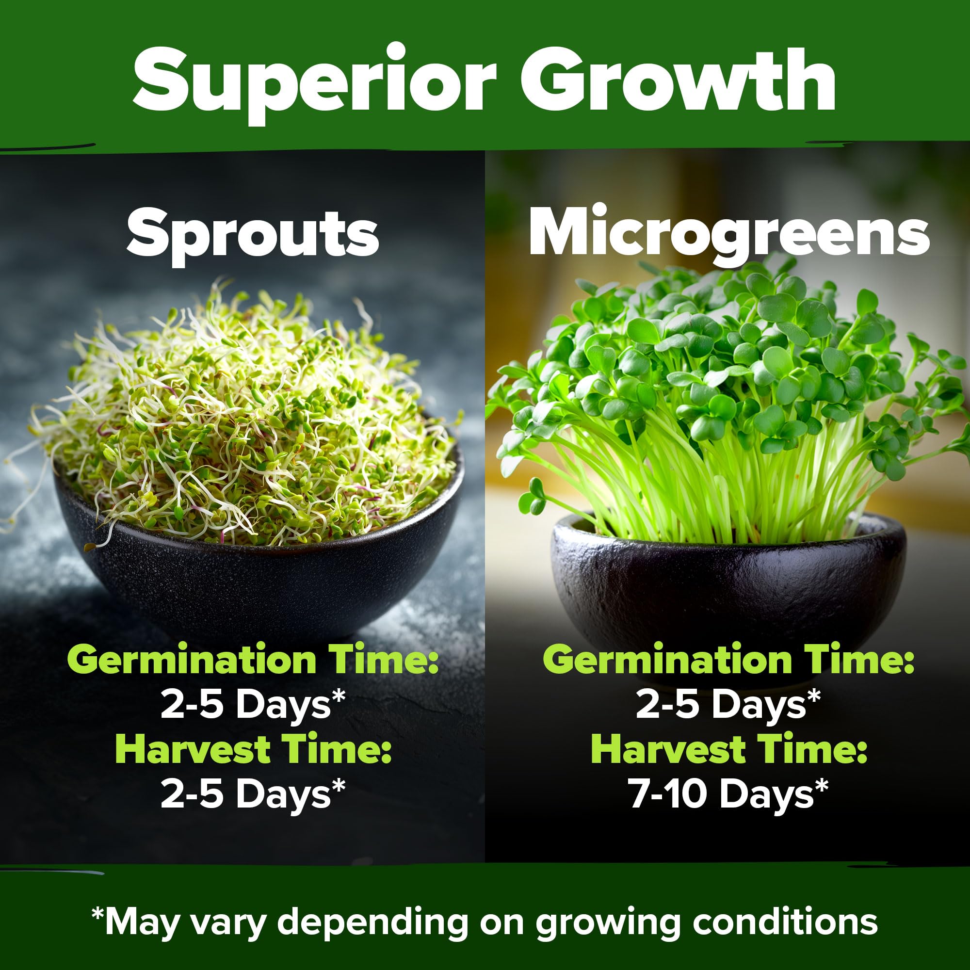 HOME GROWN sprouting seeds mix displayed in a tray for indoor growing versatility.