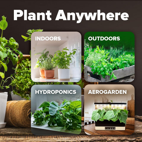 HOME GROWN ready-for-preppers seed vault supports preparedness and growth