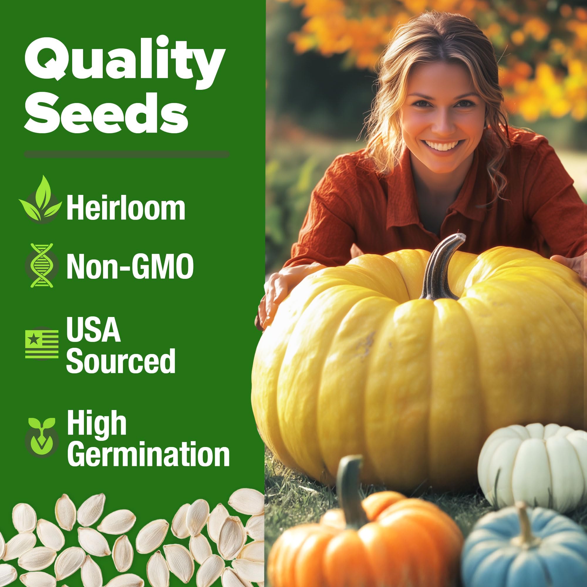 Yellow Paris seeds for large yellow pumpkins versatile for pies and jams