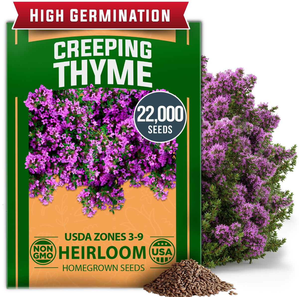 HOME GROWN Purple Creeping Thyme seeds ground cover for fragrant path edging