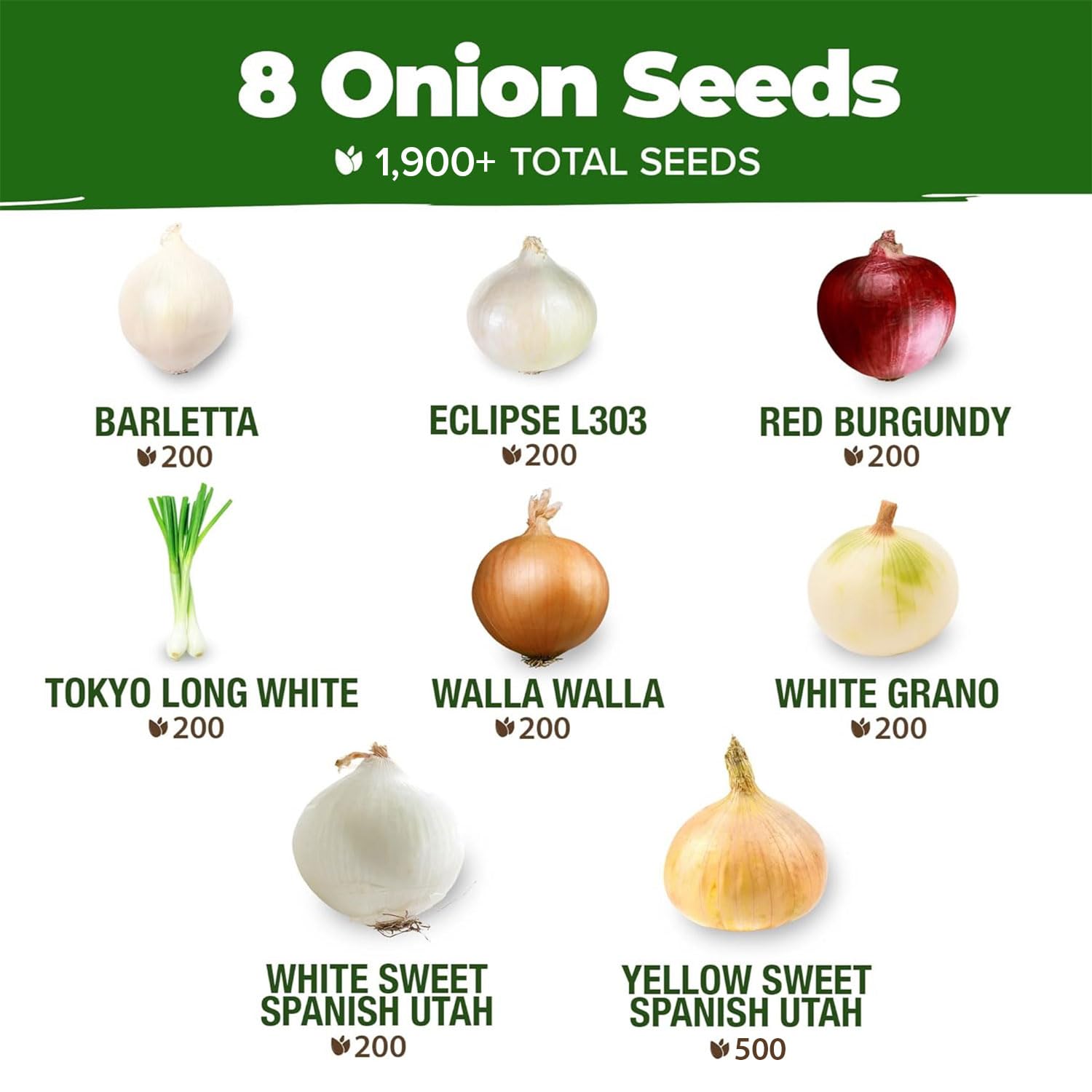 HOME GROWN Red Burgundy bulb image emphasizing large yields and rich flavor