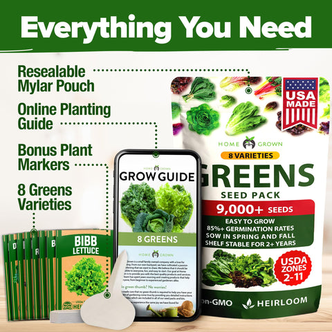 HOME GROWN Red Oakleaf lettuce seeds for colorful salads and flavorful greens.