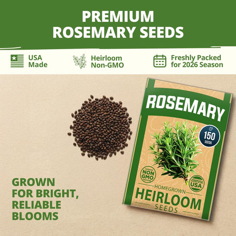 HOME GROWN rosemary seeds bulk pack, offering generous supply for ongoing harvest.