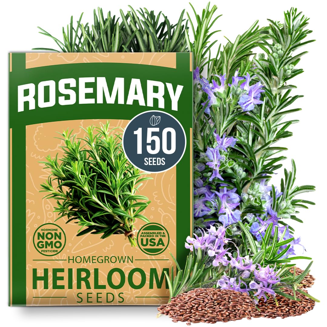 HOME GROWN rosemary seeds pack front view, perfect for starting an indoor or outdoor herb garden.