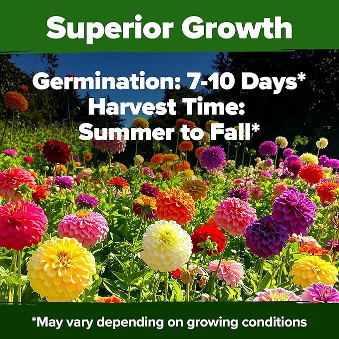 Home Grown seeds 1048 pack—great value for mass planting and shared gardens.