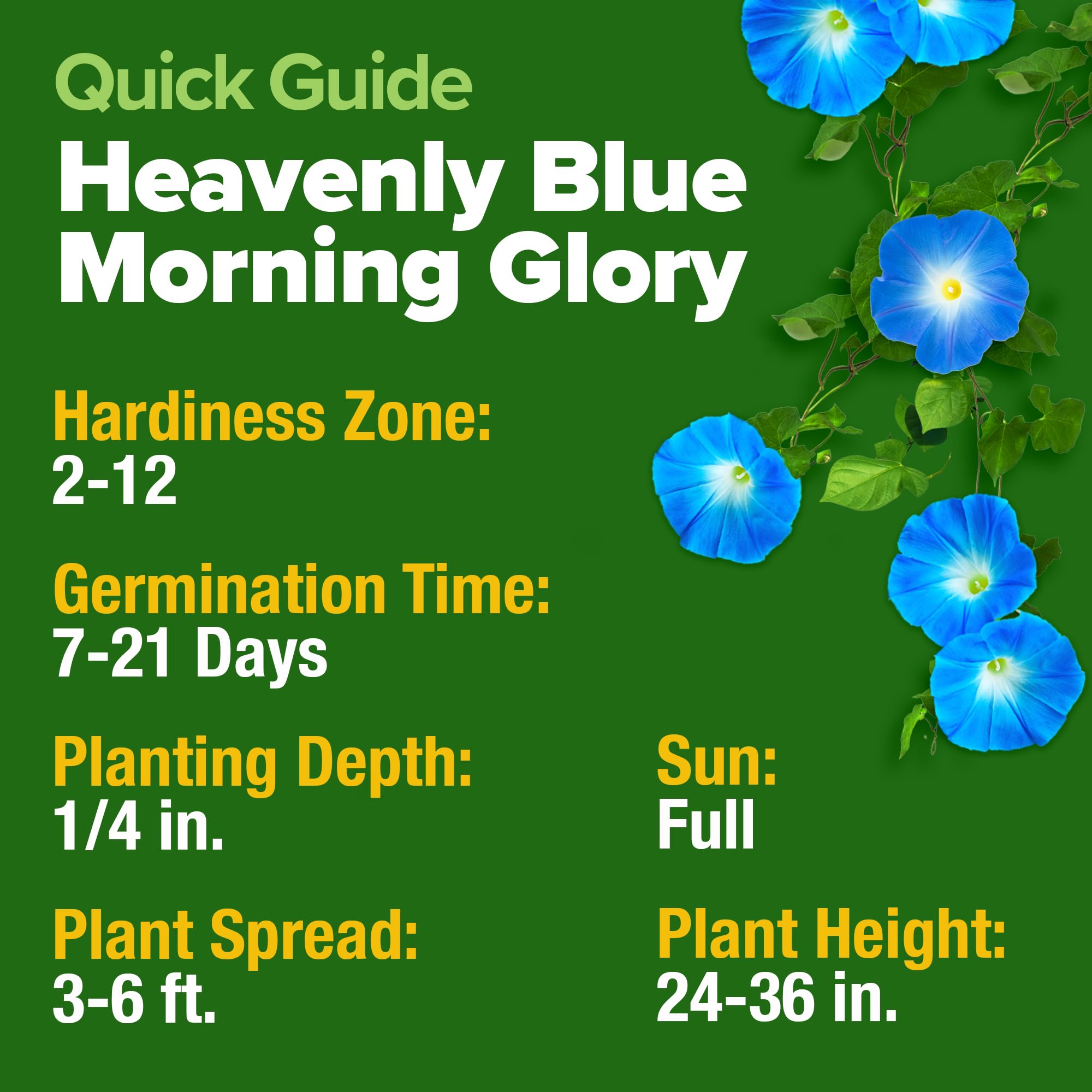 HOME GROWN Seed soak 24h — enhances germination for faster sprouts.