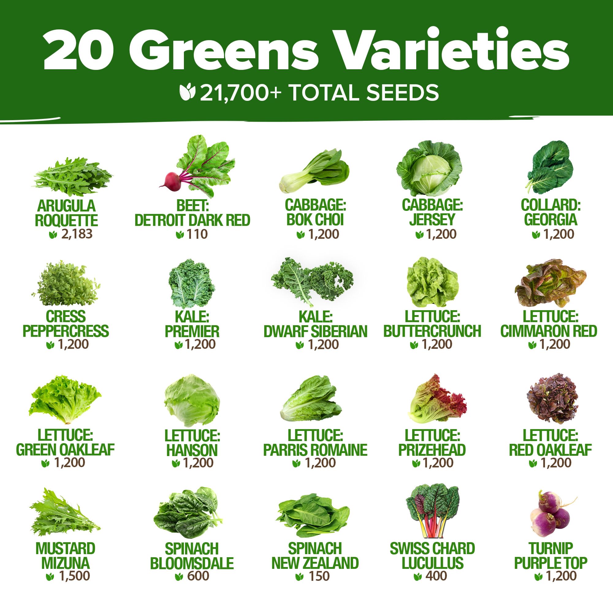 HOME GROWN seed varieties chart displays 20 heirloom lettuce options.