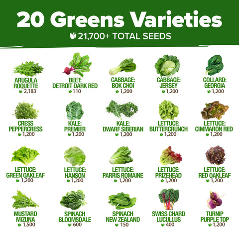 HOME GROWN seed varieties chart displays 20 heirloom lettuce options.