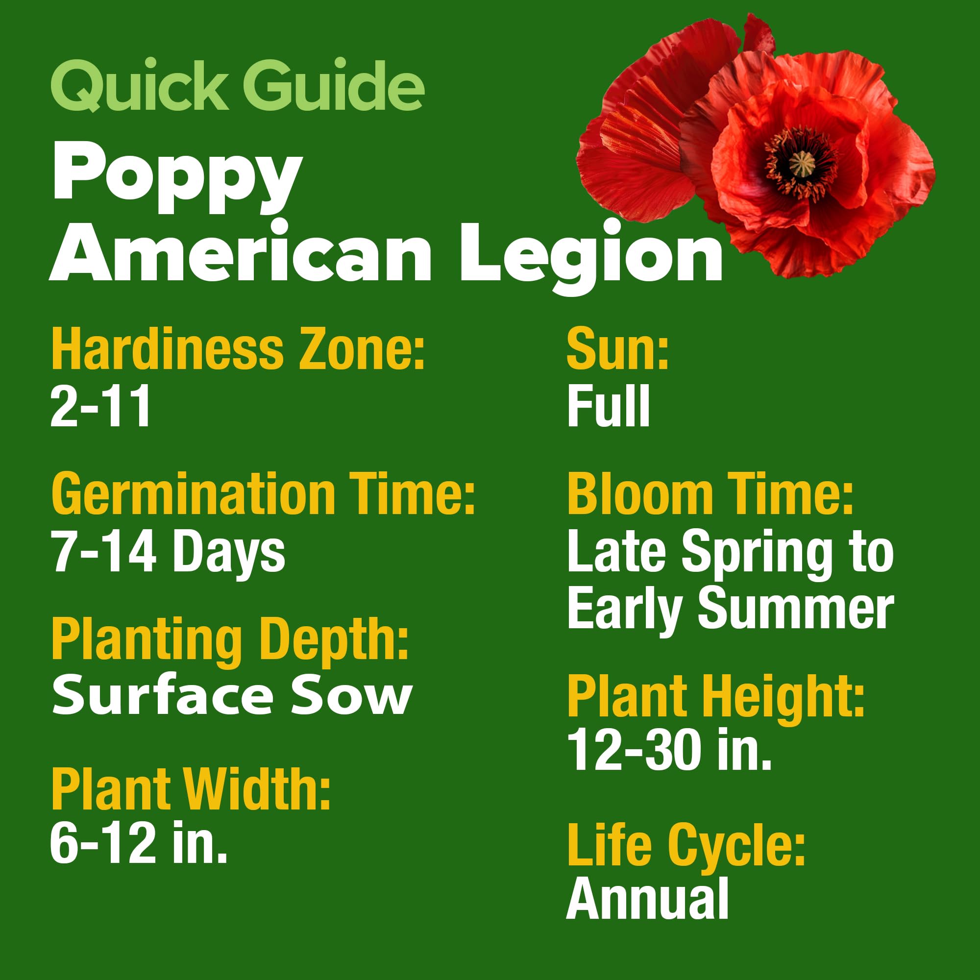 HOME GROWN self-seeding annual poppies enhancing year-after-year color