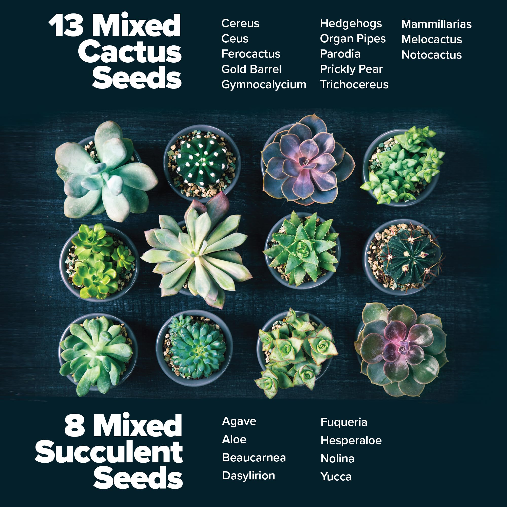 HOME GROWN plant markers label varieties during succulent planting