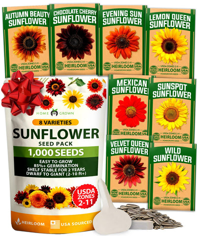 HOME GROWN Sunflower Seeds for Planting Autumn Beauty: vibrant border blooms for cutting arrangements