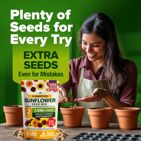HOME GROWN Sunflower Mix Pack border and display uses elevate any outdoor space