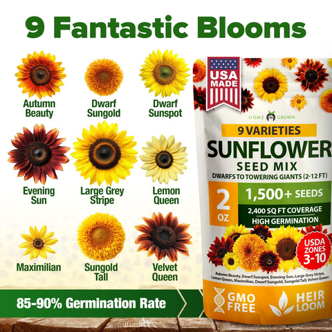 HOME GROWN Sunflower Seeds Mix Pack garden bed planting demonstrates easy sowing for beginners