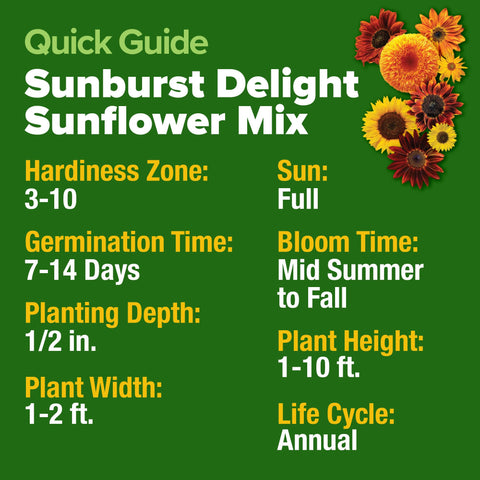 HOME GROWN Sunflower Seeds Mix Pack harvested seeds offer snack options and bird feed
