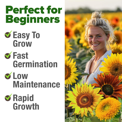 HOME GROWN Sunflower Mix Pack pollinators-friendly blooms attract bees and butterflies to your garden