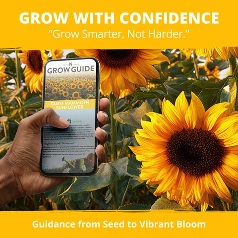 HOME GROWN seeds yield roasts and snacks, offering tasty, homegrown harvest opportunities.