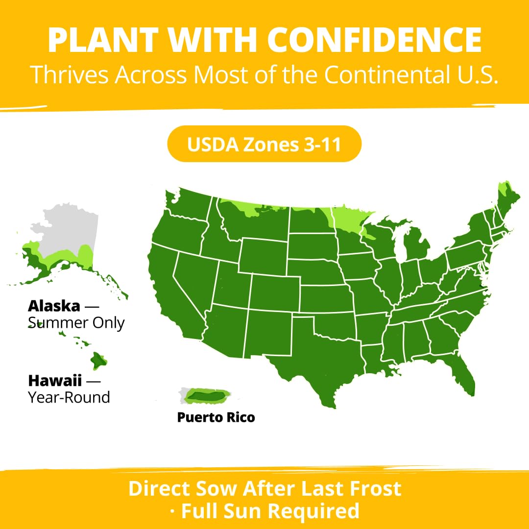 HOME GROWN seeds are USA-packaged and quality-tested for reliable germination.