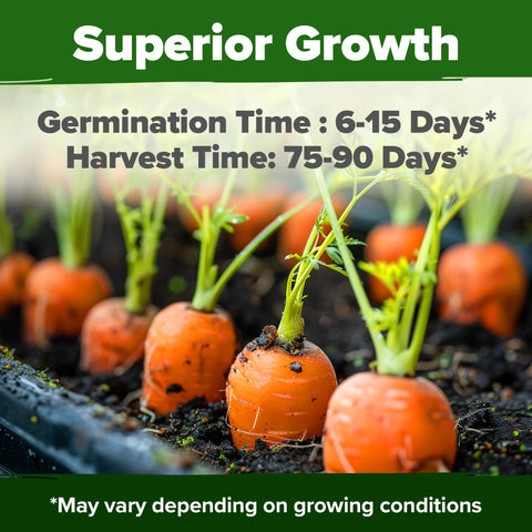 Tendersweet carrot seeds germination chart demonstrates a healthy start.