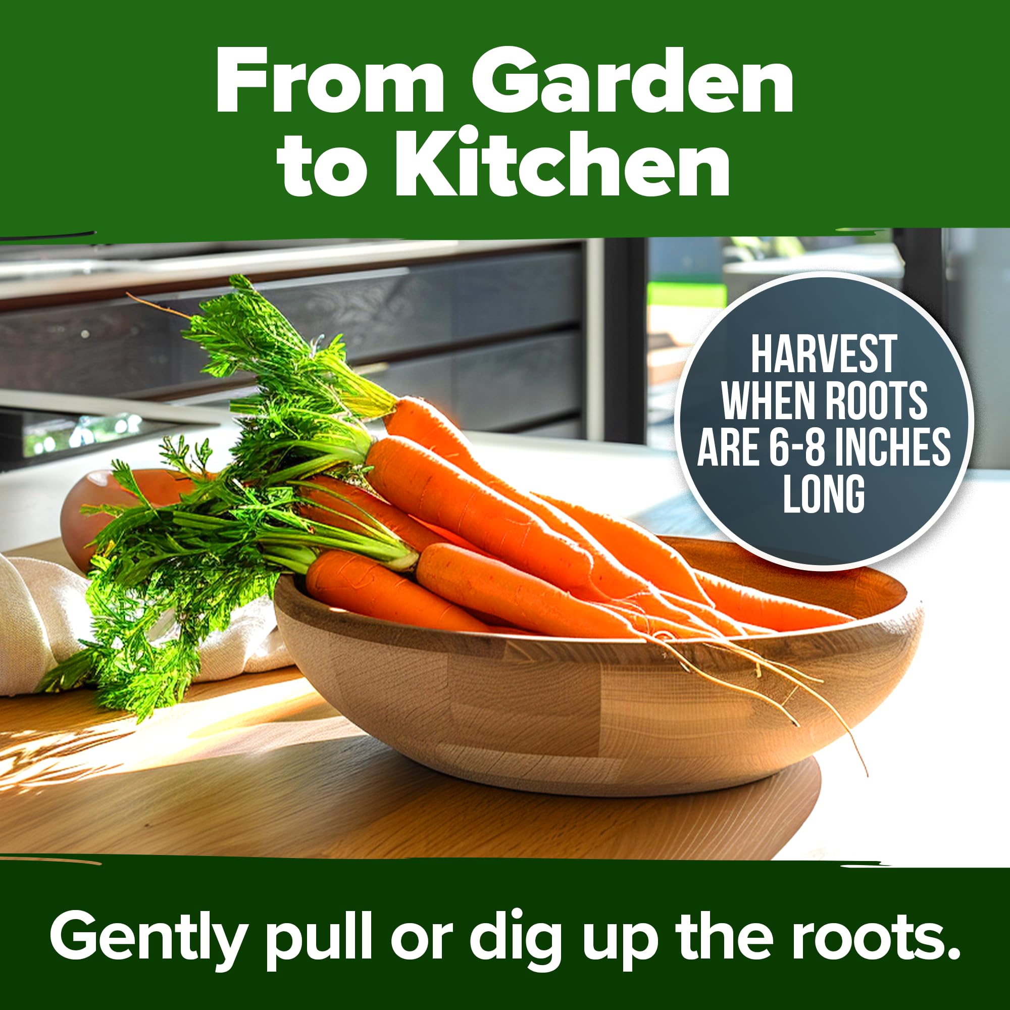 USA-sourced seeds ensure consistent quality and reliability.