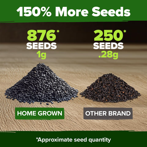 HOME GROWN Thai Basil Seeds 438-seed count highlights high-yield herb gardens.