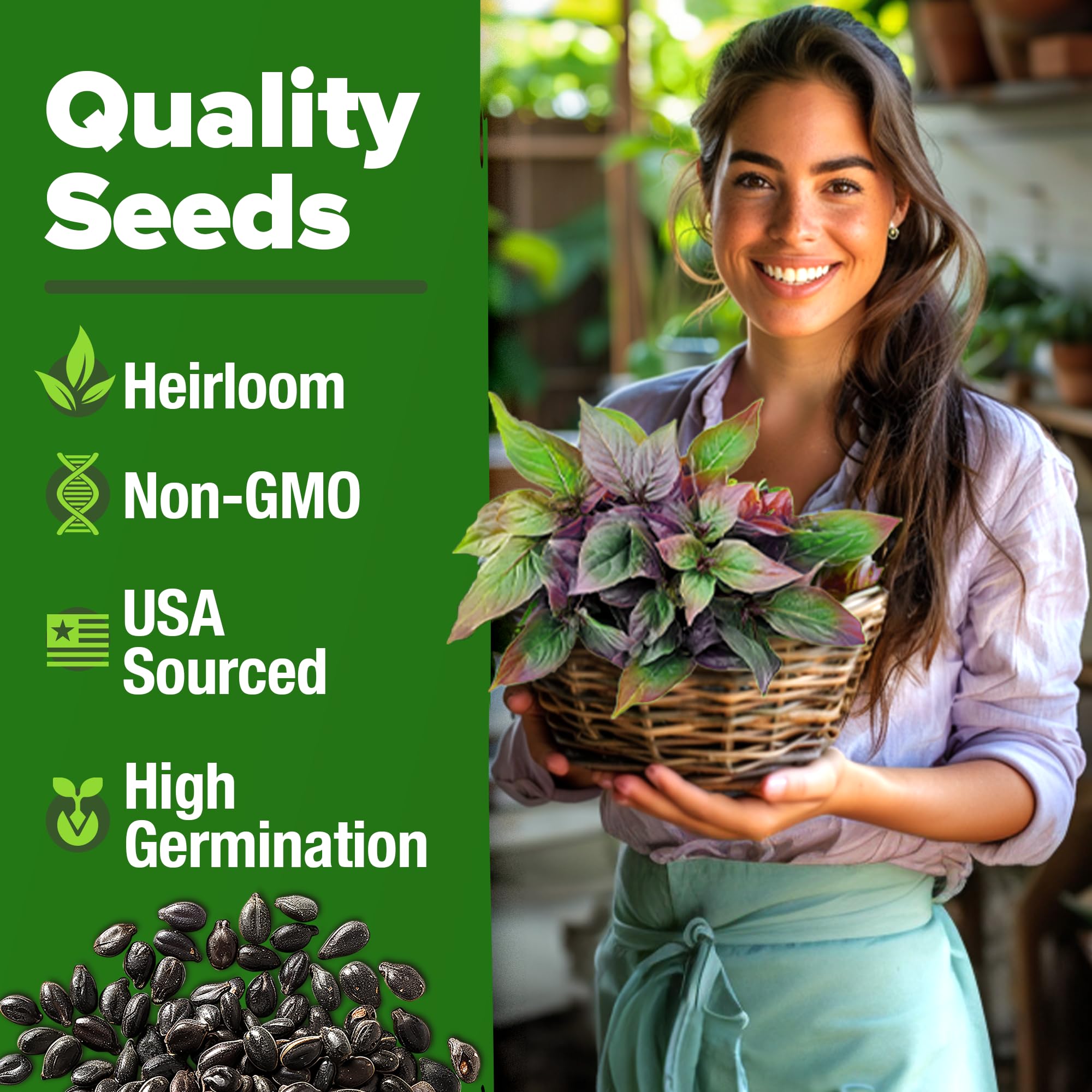 HOME GROWN Thai Basil Seeds Pack Inside view shows premium heirloom seeds.