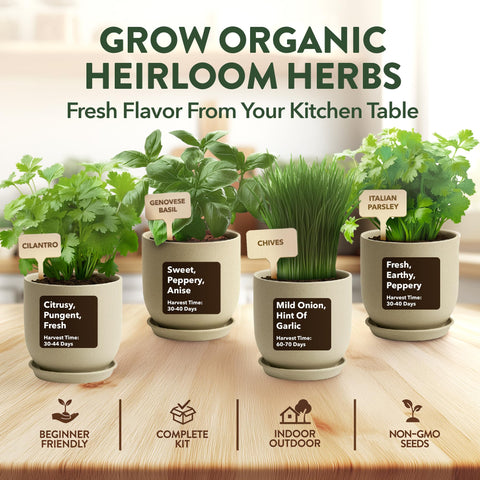 HOME GROWN Thyme seed pack delivers fragrant seasoning right from your windowsill.