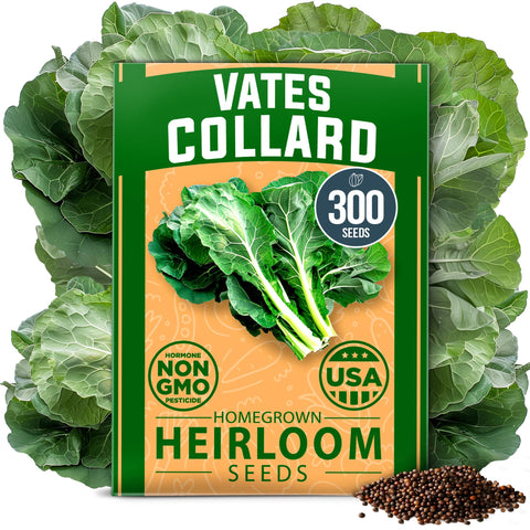 HOME GROWN Vates Collard Seeds pack front ready for fall planting