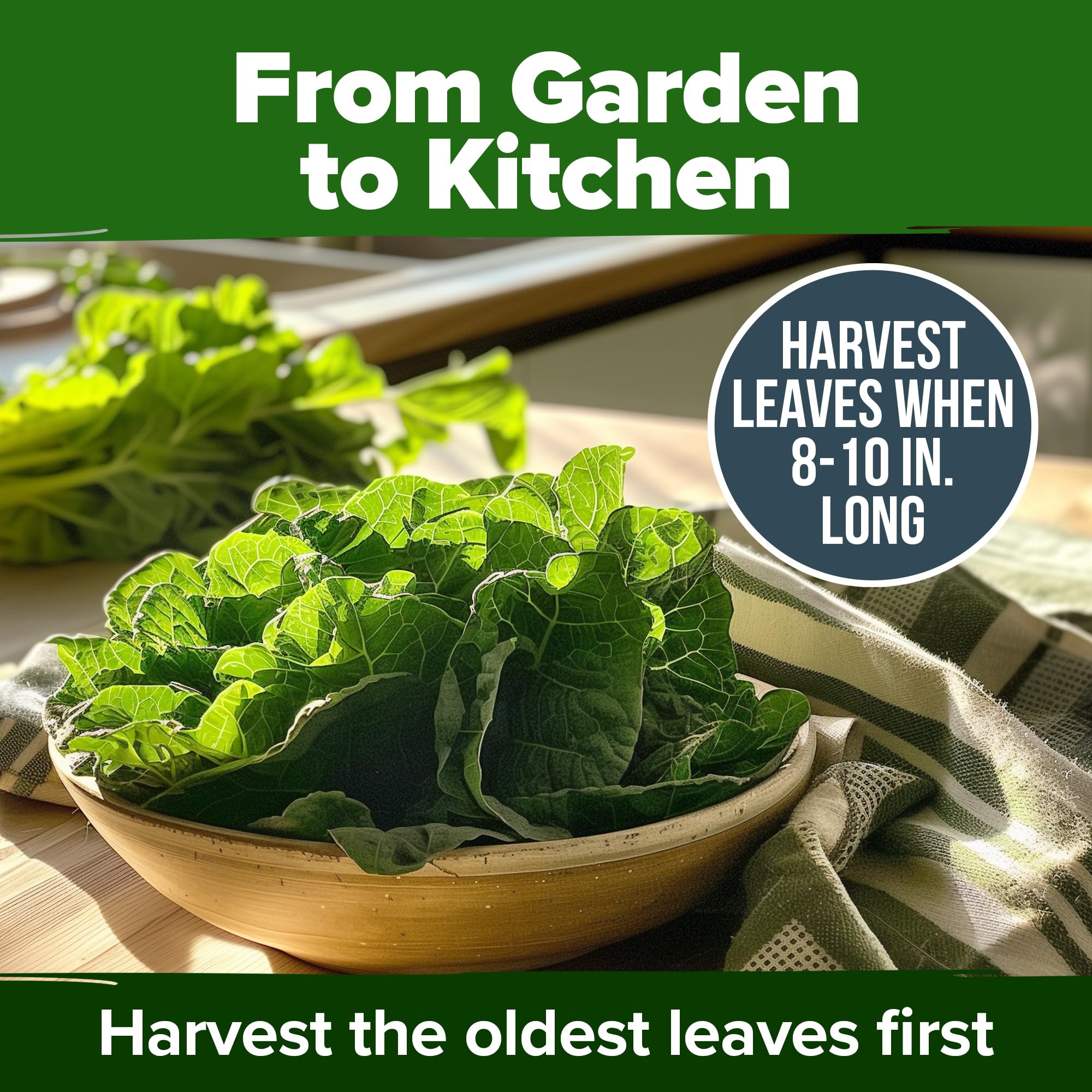 HOME GROWN Vates fresh greens harvest from home garden.