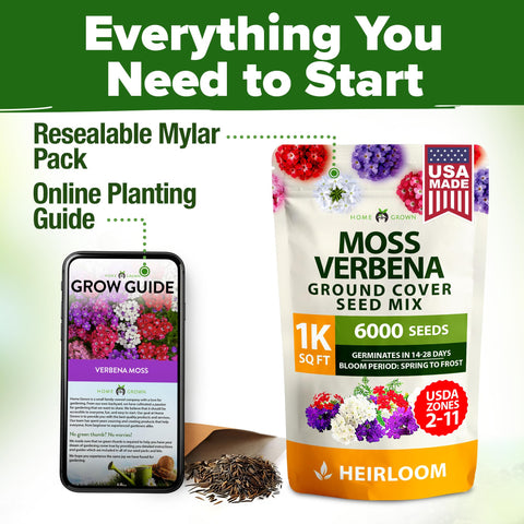 HOME GROWN Verbena Moss ideal for filling borders and patios.