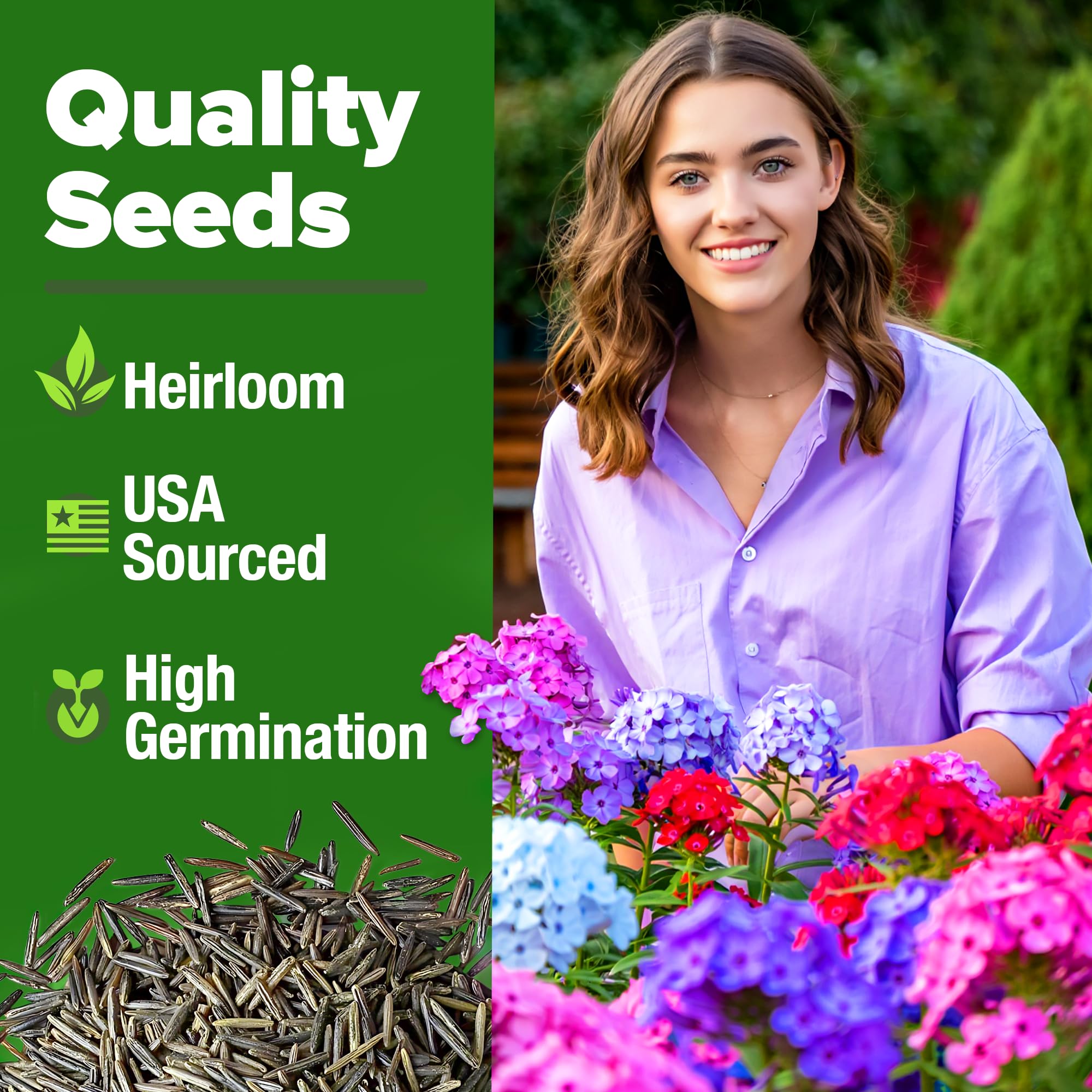 HOME GROWN Verbena Moss Seeds 6000 seeds for reliable germination and growth.