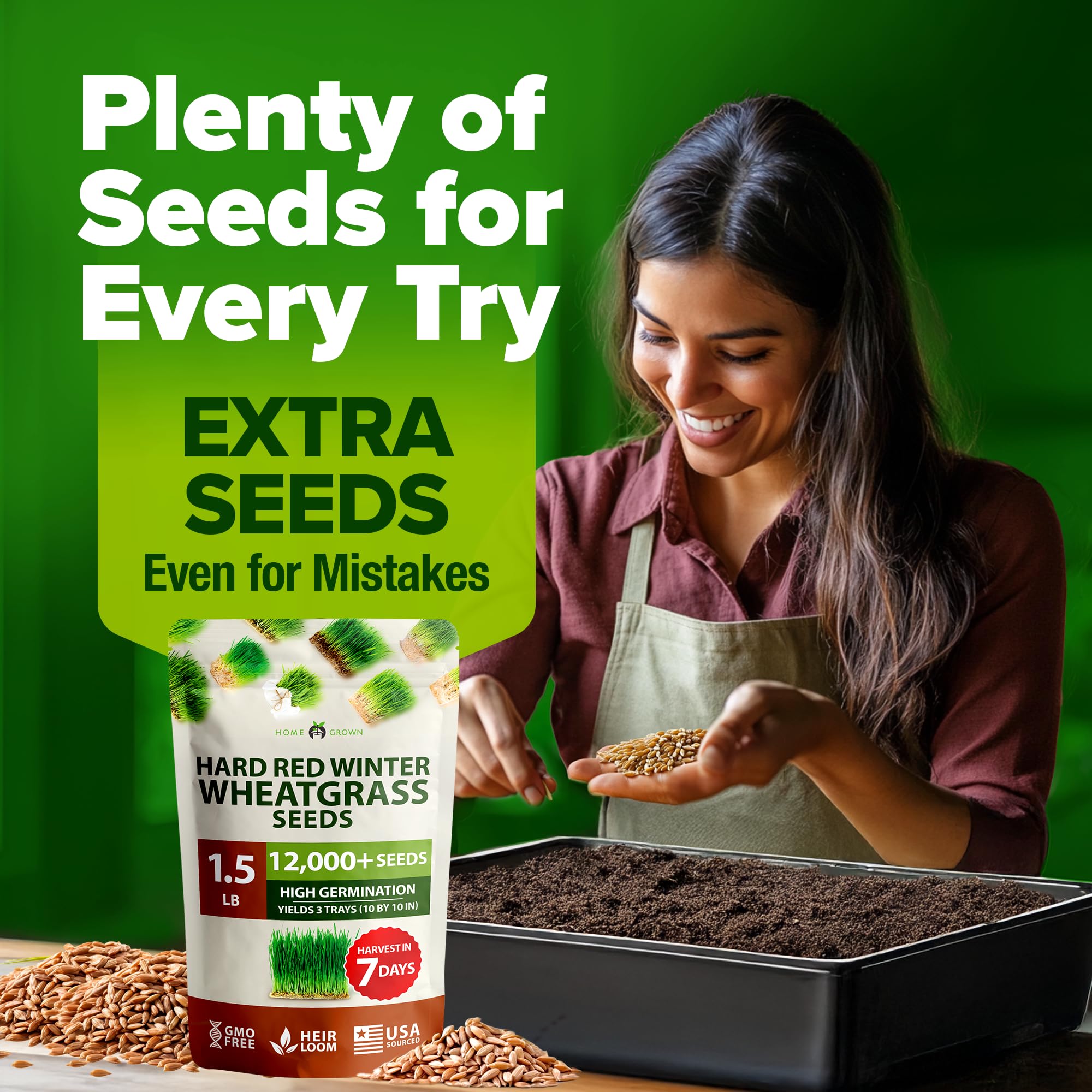 HOME GROWN bakers' favorite wheatgrass for adding protein-rich boost to bread.