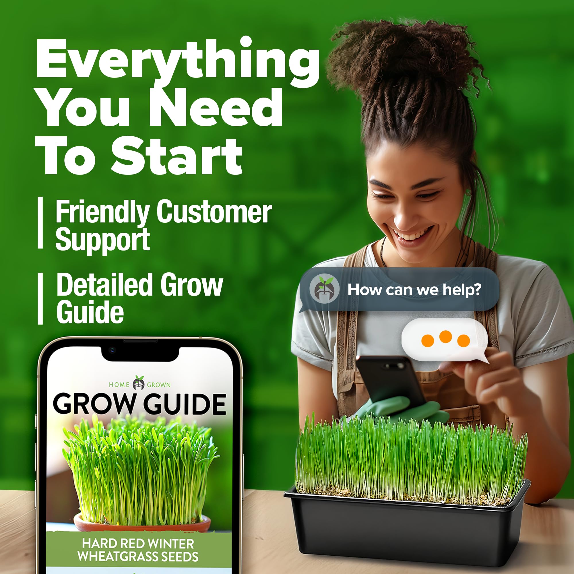 HOME GROWN cat grass sprouts offer a healthy treat for pets.