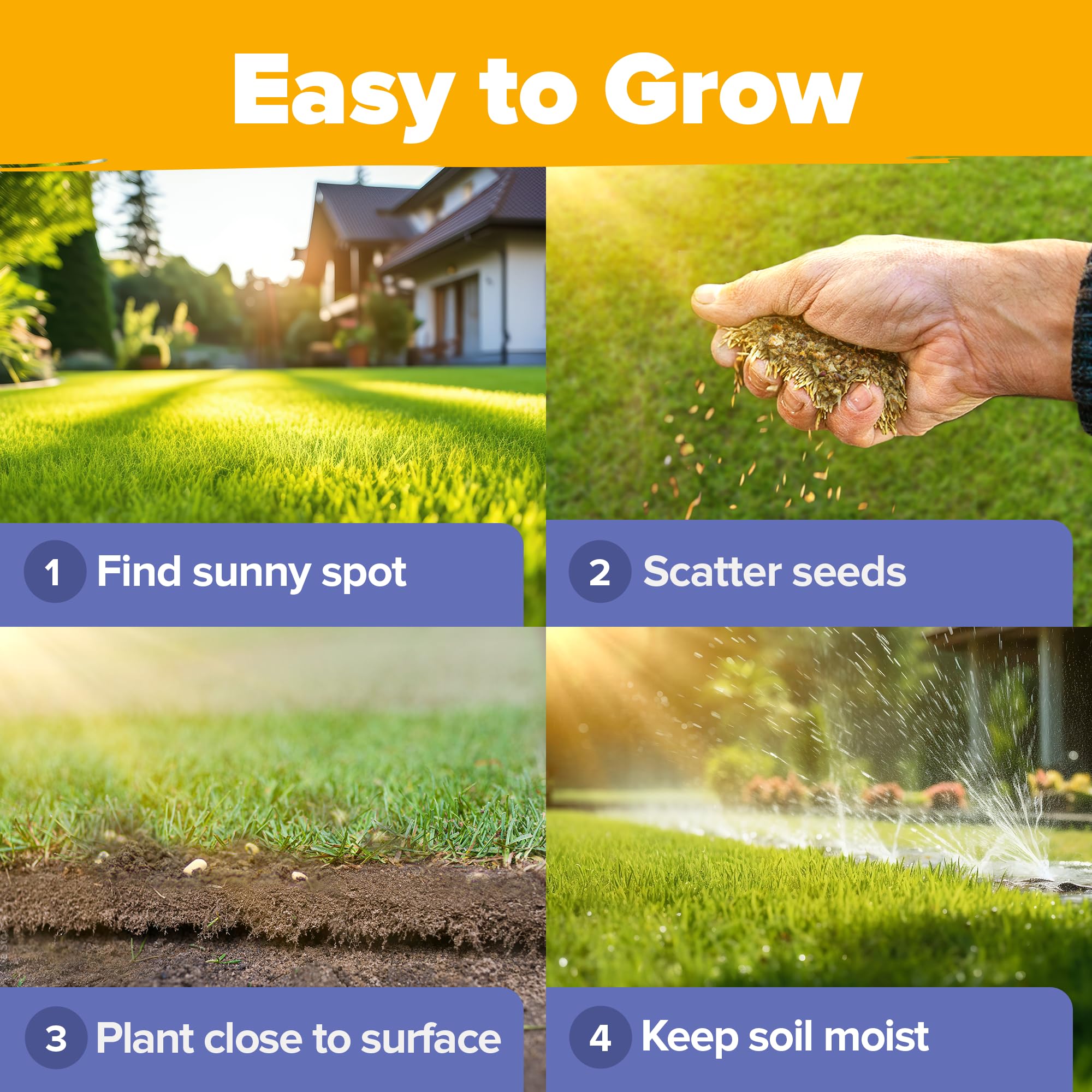 HOME GROWN full sun to shade image highlights adaptable seeds for diverse garden spots.